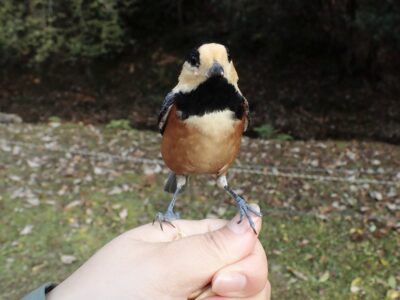 日本一汚い”播州弁”を話す地域でリフレッシュ体験☆彡