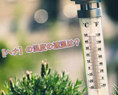 【ヘナ】を溶くときのお湯の適温はどのくらいが良い？