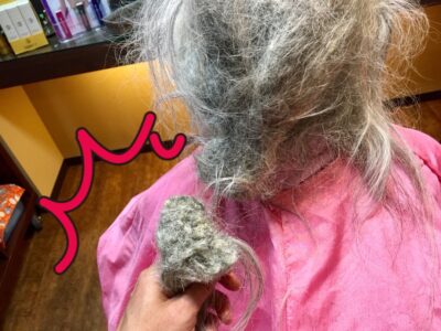 体調を崩しガチガチに絡んで固まった髪をほどいてほしい