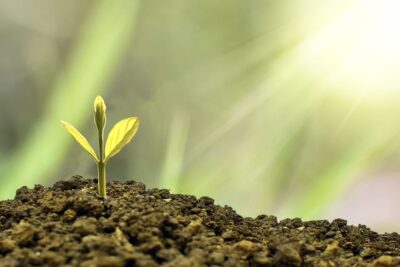 「雑草などというものはない。」