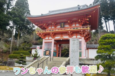 愛犬と一緒に参拝できる♪兵庫県加東市にある【播州清水寺】