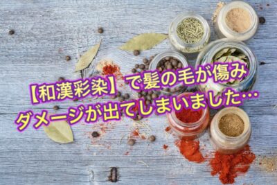 【和漢彩染】で髪の毛が傷みダメージが出てしまいました…