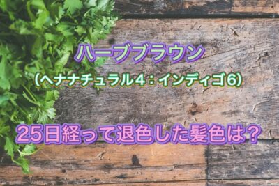 ハナヘナ【ハーブブラウン】２５日が経過した髪色はこんな感じ＊