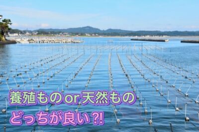 養殖ものor天然もの どっちが良い？！ アナタならどうする