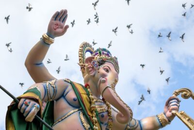 原産国インドで流通してる【１００％ヘナ】の成分って実は…