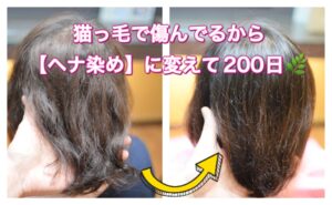 猫っ毛で傷んでるから【ヘナ染め】に変えて200日が経過~