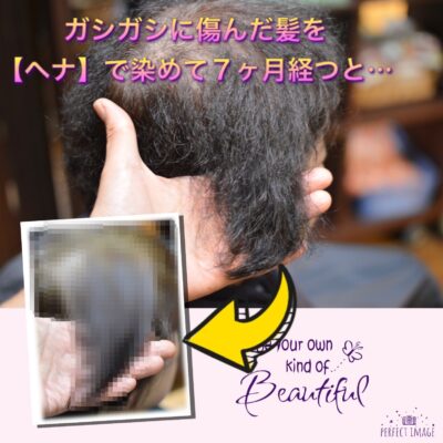 ガシガシに傷んだ髪を【ヘナ】で染めて７か月経つと…