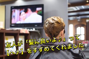 友人が「髪に良いよ♪」と【ヘナ染め】をすすめてくれました