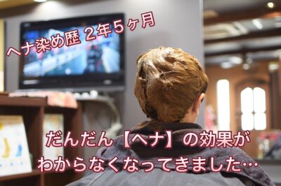 【ヘナ染め歴】２年５か月 だんだん効果がわからなくなってきた、、、