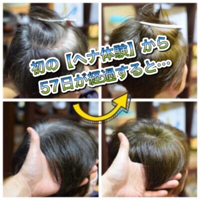 初めての【へナ】（２度染め）から５７日後はどんな髪色になる？