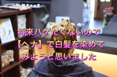 将来ハゲたくないので【ヘナ】で白髪を染めてみようと思いました