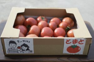 エンジェル夫妻が育てる【織田トマト】とは…