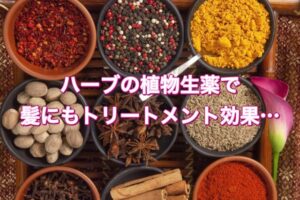 漢方やハーブの植物生薬で健康的で”ハリ・コシ”ある髪へ導きます