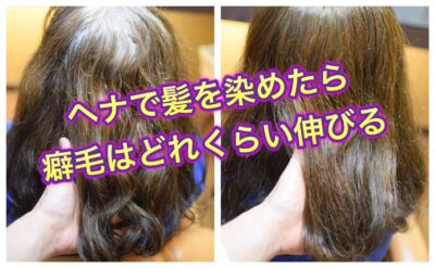 【ヘナ】で髪を染めたら”癖毛”はどれくらい伸びるものなの？