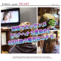 時短でカンタン♬【ハナヘナ2度染め】39日後の髪色はコチラ