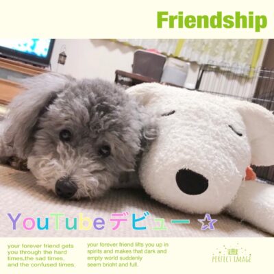 桃次郎店長が選ばれました♪YouTubeデビュー☆彡