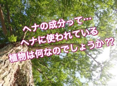 ヘナの成分って…ヘナに使われている植物は何なのでしょうか？？