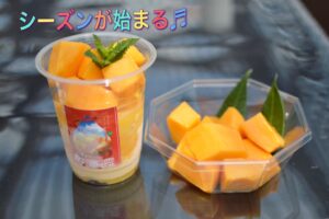 兵庫県で愛犬と一緒に♪”マンゴー”が食べれる【ラ・ゴッチャ】