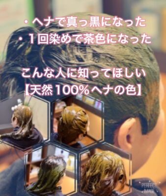【ヘナ】で真っ黒になった人に知ってほしい”天然１００％ヘナの色”