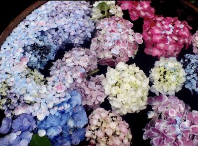 梅雨の湿気で”うねる・広がる”髪が【ヘナ染め】で変わる？！