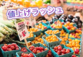 【ハナヘナ】・DO-S製品の価格が変更になります(2022年7月~)
