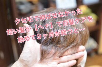 クセ毛で伸ばせなかった短い髪が【ヘナ】で白髪ケアを始めて９か月が経つと…