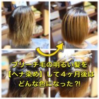 ブリーチ毛の明るい髪を【ヘナ染め】して４か月でどれくらい退色する？