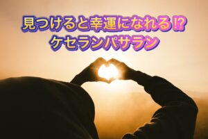 見つけると幸運になれる！？【ケセランパサラン】