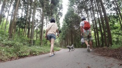 『海の日』に涼を求めて川遊びに逢山峡☆彡