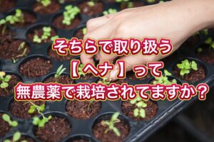 そちらで取り扱う【ヘナ】って無農薬で栽培されていますか?