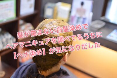 髪が傷まない白髪染めでヘアマニキュアを調べてるうちに【ヘナ染め】が気になりだした