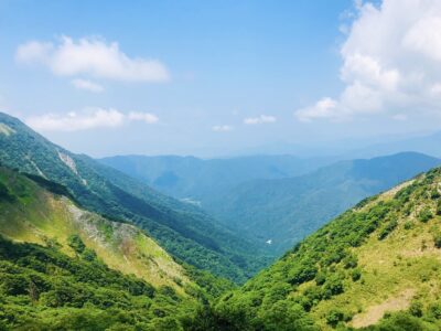 薬草の宝庫【伊吹山】真夏のお花畑山歩☆彡