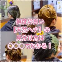 【天然ヘナ】と”ケミカルヘナ”の見分け方は〇〇〇でわかる!