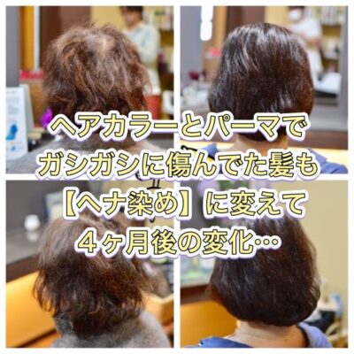 ヘアカラーとパーマでガシガシに傷んだ髪も【ヘナ染め】を4か月続けたら、、、