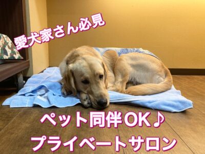 愛犬家さん必見！ペット同伴OK♪プライベートサロン