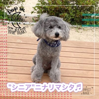 ”桃次郎店長”いよいよシニアの仲間入りをする☆彡