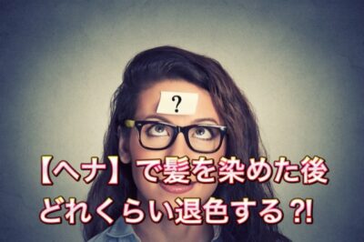 ヘナとインディゴの【2度染め】から3か月半後の髪色