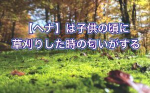 【ヘナ】は子供の頃に草刈りした時の匂いがする
