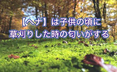 【ヘナ】は子供の頃に草刈りした時の匂いがする