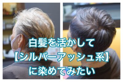 白髪を活かして【シルバーアッシュ系】に染めてみたい
