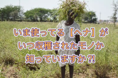 いま使ってる【ヘナ】がいつ収獲されたモノか知っていますか？！