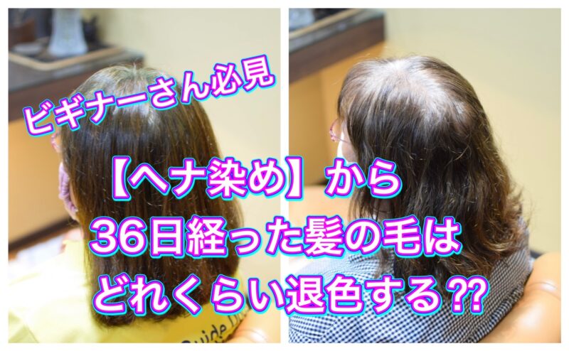 【ヘナ染め】から３６日経った髪の毛は どれくらい退色する？？